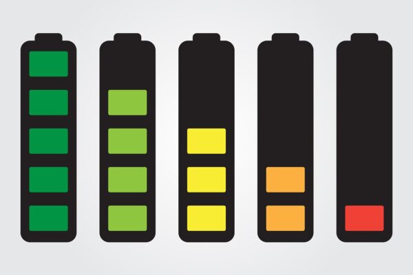 Logo nutrizionale “NutrInform Battery”